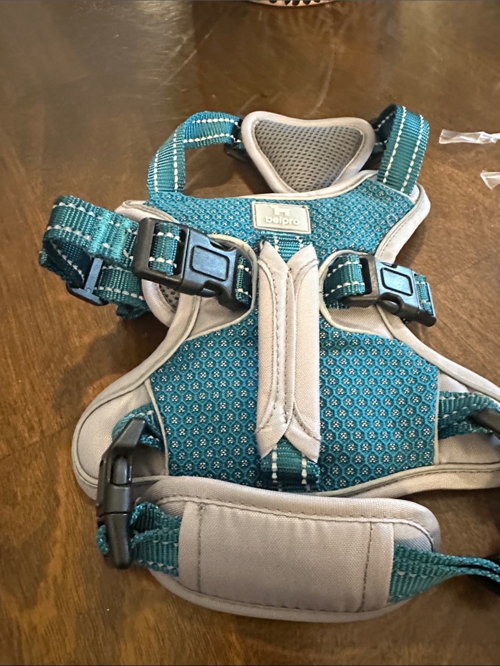 Teal Padded Dog Harness - Adjustable Comfort Vest